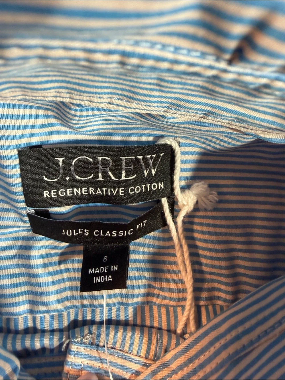J.Crew Jules classic-fit stripe shirt in blue and white